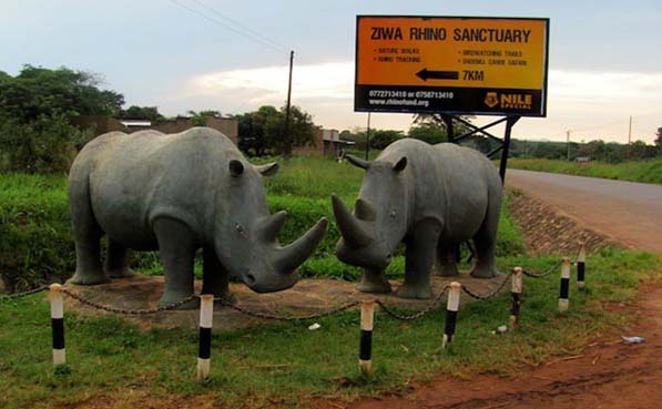  Ziwa Rhino Sanctuary 